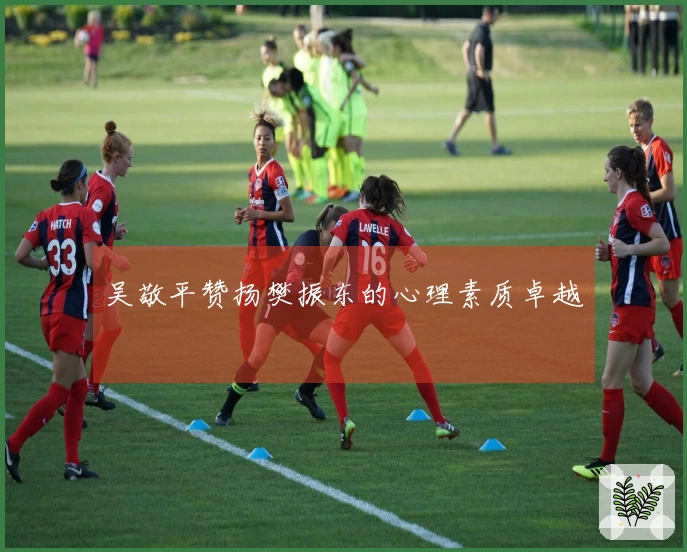 吴敬平赞扬樊振东的心理素质卓越