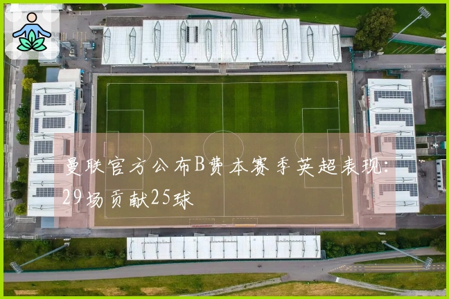 曼联官方公布B费本赛季英超表现：29场贡献25球